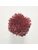 Koberce - FdS Band 0 Botanical Silk (T) - FERR-BOTSILKT - T84 Ruby Wine