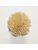 Koberce - FdS Band 0 Botanical Silk (T) - FERR-BOTSILKT - T86 Dried Wheat