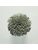 Koberce - FdS Band 0 Botanical Silk (T) - FERR-BOTSILKT - T94 Slate Green