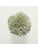 Koberce - FdS Band 0 Botanical Silk (T) - FERR-BOTSILKT - T96 Smoke Green
