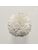 Koberce - FdS Band 0 Botanical Silk (T) - FERR-BOTSILKT - T78 Direty White