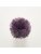 Koberce - FdS Band 0 Botanical Silk (T) - FERR-BOTSILKT - T103 Sweet Grape – kopie