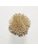 Koberce - FdS Band 0 Botanical Silk (T) - FERR-BOTSILKT - T108 Caramel