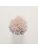 Koberce - FdS Band 0 Botanical Silk (T) - FERR-BOTSILKT - T113 Light Peach