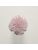 Koberce - FdS Band 0 Botanical Silk (T) - FERR-BOTSILKT - T114 Crystal Pink