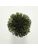 Koberce - FdS Band 0 Botanical Silk (T) - FERR-BOTSILKT - T121 Jungle Green