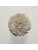 Koberce - FdS Band 0 Botanical Silk (T) - FERR-BOTSILKT - T123 Moonbeam