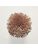 Koberce - FdS Band 0 Botanical Silk (T) - FERR-BOTSILKT - T126 Cooper Brown