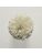 Koberce - FdS Band 0 Botanical Silk (T) - FERR-BOTSILKT - T128 Champagne