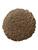Koberce - Ultima Twist - Ultima 6,5 mm ab 100 366 400 457 500 - WEST-UTULTIMA - Springbok