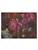 Koberce - Amsterdam RugXstyle thb 200x300 cm - OBJC-RGX23AMS - 0421