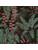 Carpets - FGI Velours Acoustic Plus 400 - OBJC-FGIVEL - Jane 602