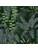 Koberce - FGI Velours Acoustic Plus 400 - OBJC-FGIVEL - Jane 603