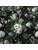 Carpets - FGI Glossy Velours Acoustic Plus 400 - OBJC-FGIGLOSSY - Sofia 803