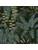 Carpets - FGI Structured Loop Econyl sd Acoustic Plus 400 - OBJC-FGISTRLOOP - Jane 0601
