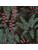 Carpets - FGI Structured Loop Econyl sd Acoustic Plus 400 - OBJC-FGISTRLOOP - Jane 0602