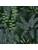 Carpets - FGI Structured Loop Econyl sd Acoustic Plus 400 - OBJC-FGISTRLOOP - Jane 0603