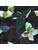 Carpets - FGI Structured Loop Econyl sd Acoustic Plus 400 - OBJC-FGISTRLOOP - Rubina 0301