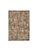 Carpets - Antiquarian Hadschlu ltx 170x240 cm - LDP-ANTIQHDS170 - 8720 Agha Old Gold