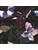 Koberce - FGI Velours Acoustic Plus 48x48 cm - OBJC-FGIVELR48 - Rubina 302