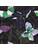Koberce - FGI Velours Acoustic Plus 48x48 cm - OBJC-FGIVELR48 - Rubina 303