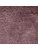 Carpets - Class 12 - JOV-CLASS12 - UniK156
