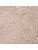 Carpets - Class 12 - JOV-CLASS12 - UniK158