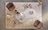 Carpets - Palm (Soft 12 cut, loop, Fame 12) - JOV-PALM - 1