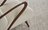 Carpets - Santushti ct 400 500 - JAC-SANTUSHTI - Ash