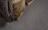 Carpets - Ceres ab 400 - CRE-CERES - 3004 Cotton