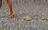 Carpets - Meet x Beat 1000 Econyl sd cab 400 - OBJC-MEETBEAT - 1010