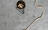 Koberce - Glory 1500 cab 400 - OBJC-GLORY - 1501 Gold