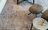 Carpets - Chloe 12 - JOV-CHLOE12 - Mix89