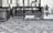 Koberce - Eugenice (Fame 33) - JOV-EUGENICE - 02