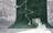 Carpets - Moody 2000 cab 400 - TOBJC-MOODY - 2001 Offwhite