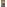 Koberce - Frame sd b2b 50x50 cm - MOD-FRAME - 535