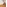 Koberce - pm-Suite Symphony Mendelssohn ab 400 - BLT-SSMENDELS - 010