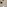 Carpets - Wellington jt 400 500 - CRE-WELLINGTON - 200 Greybrown