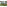 Koberce - Silky Seal 1200 Acoustic 50x50 cm - OBJC-SILKYSL50 - 1227 Kermit