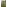 Koberce - Tivoli sd acc 25x100 cm - BUR-TIVOLI25 - 21101 Guyana Moss