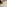 Carpets - Tanger flt 400 500 - CRE-TANGERFLT - 535 Husk