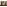 Carpets - Richelieu Velours 366 - LDP-RICHVELR - 8216