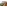 Carpets - Palazzo Da Mosto ltx 200x280 cm - LDP-PLZDAM200 - 9142 Este Green